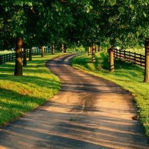 Meet your Posher, Chuck